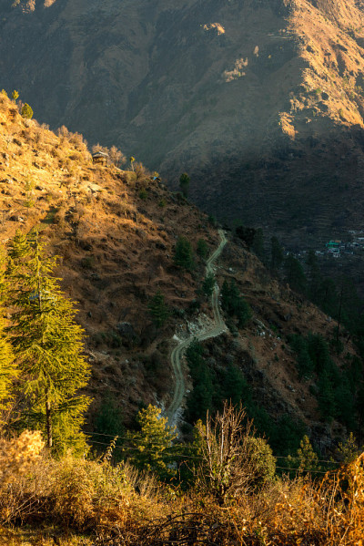 夕阳下的杉树在喜马拉雅山-美丽的曲线美的道路在山区-