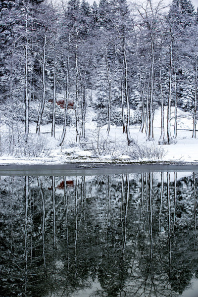 冬季和雪景