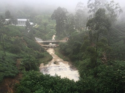 茶叶庄园的雨天