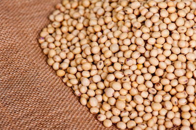 我是bean
