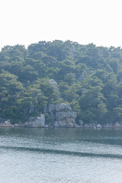 松树与岛屿和海景