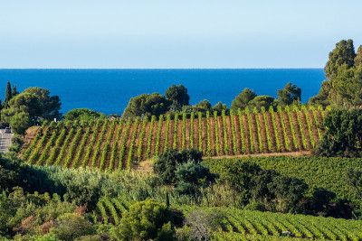 法国南部的普罗旺斯地区，圣特罗佩附近的蓝色海洋的普罗旺斯cote de Provence，圣特罗佩附