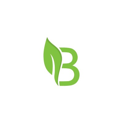 B标志图标设计矢量插图