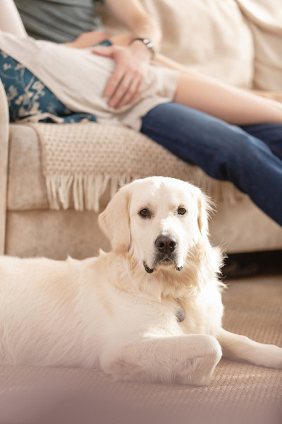 一对夫妇带着爱犬在乡村别墅的客厅里共度周末