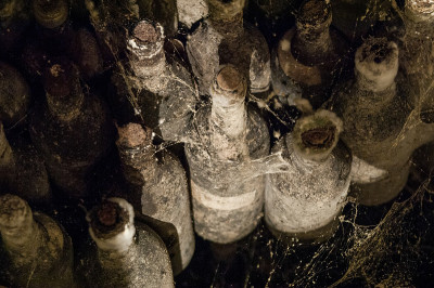 一个装满酒瓶的酒窖