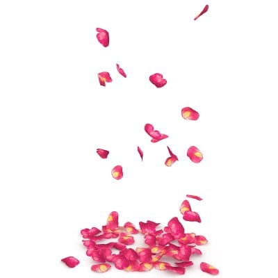 玫瑰花瓣散落在地板上