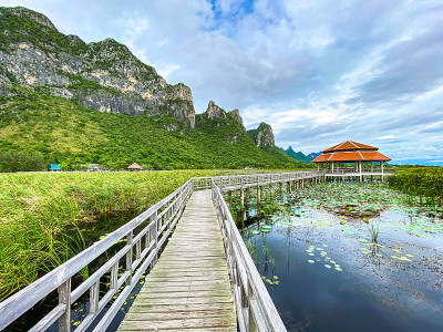 Sam Roi Yot淡水沼泽，走过沼泽，在泰国Prachuap Khiri Khan的Sam Ro