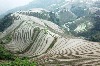 中国广西龙脊梯田