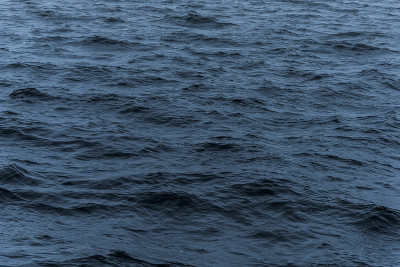 蓝色的大海