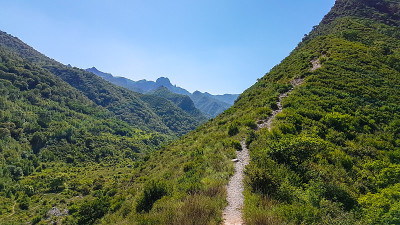 呼和浩特——内蒙古大庆市山的全景。无尽的山脉。山坡上长满了草