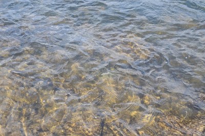 浅水