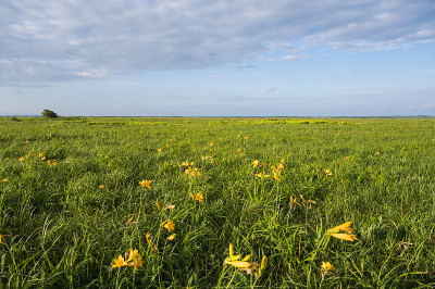 Sarobetsu Wilderness