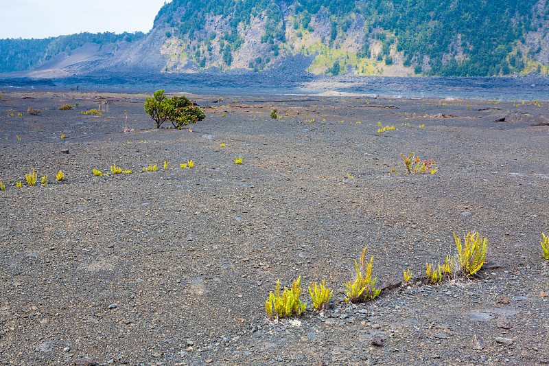 火山口地板