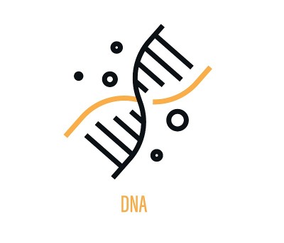 Dna的设计。基因载体的设计。科学和医学插图