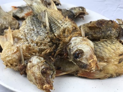 选择性聚焦和近距离油炸淡水鱼