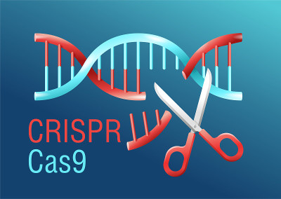 CRISPR Cas9 - DNA螺旋剪刀切割