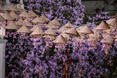 春节节日装饰