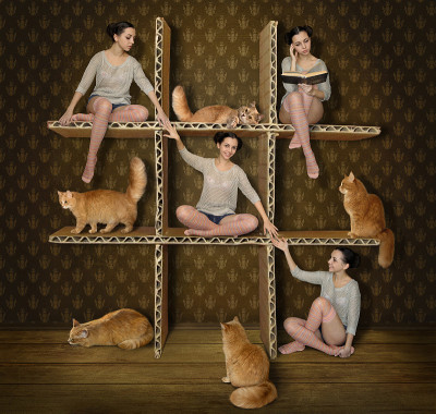 女孩和猫