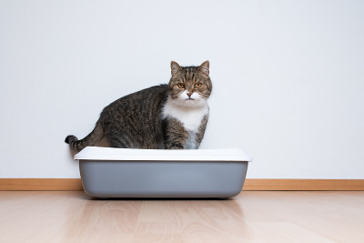猫砂盒