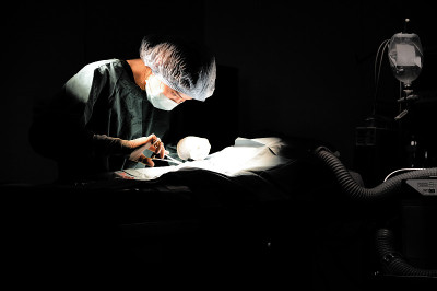 兽医在手术室进行外科手术