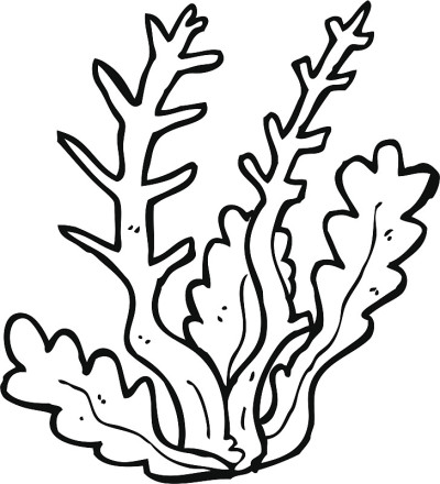 卡通海藻