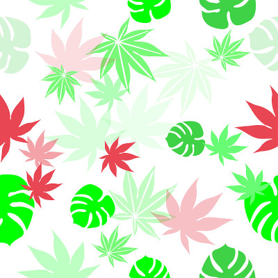 pattern图案一包漂亮的秋叶和花
