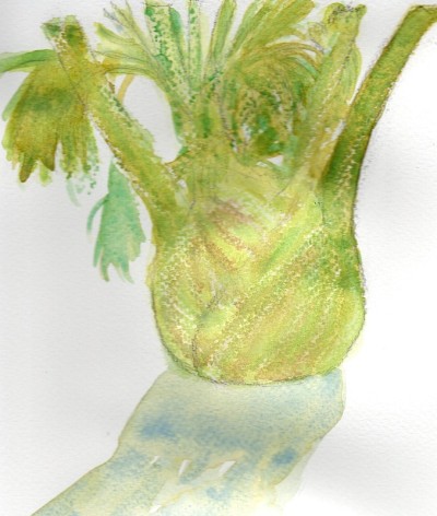 画新鲜蔬菜，茴香