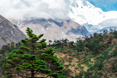 云中之山