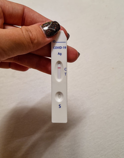 电晕快速试验负片