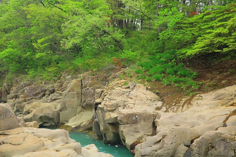 岩手县夏季山溪