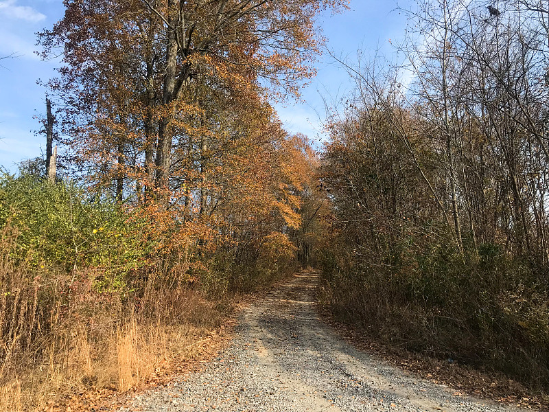 美国阿肯色州的乡村公路