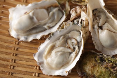 带壳的牡蛎有冬天的味道