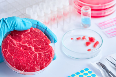 肉类样品在开放一次性塑料细胞培养皿在现代实验室或生产设施。养殖肉类理念，细胞农业，无屠宰环保理念。