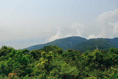 越南岘港海凡山口顺化的琅哥海滩全景。火车在海边的铁路上行驶，绿色的森林，美丽的自然景观，海浪