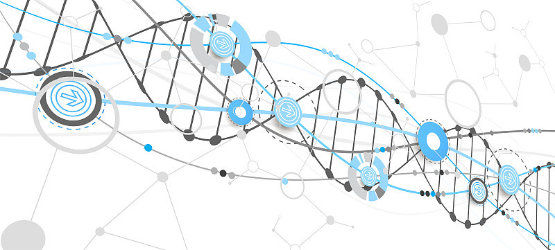 带有DNA分子的科学模板、墙纸或横幅。向量