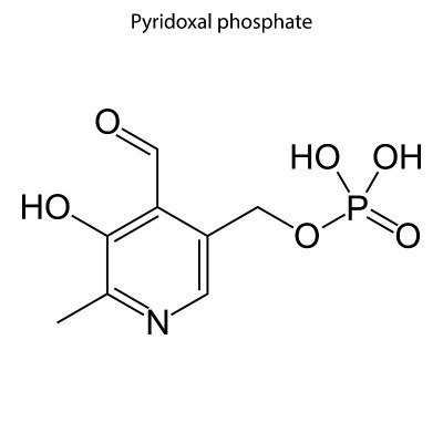 分子骨架式。