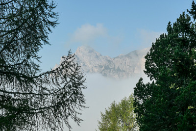 Armentarola -意大利Dolomites的清晨。茂密的森林使该地区杂草丛生。山谷笼罩在晨雾