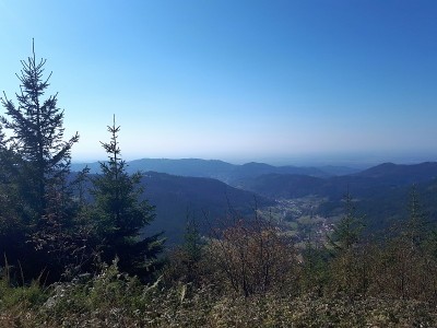 徒步旅行在德国法尔兹森林