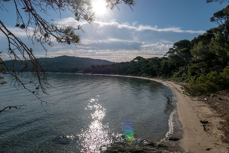 夏天发现波克雷勒斯岛。荒凉的海滩和松树在法国里维埃拉的景观