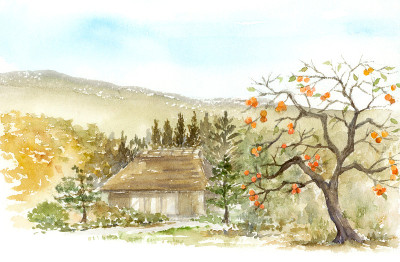 水彩画的风景与柿子树