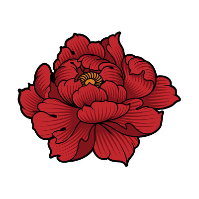 牡丹花的矢量插图