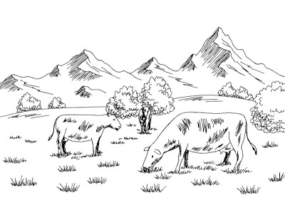 奶牛在山上吃草图形黑白素描插图矢量