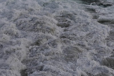 加州沿岸水域格局