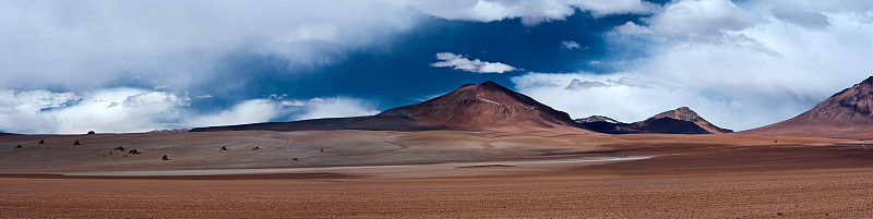 Bolivian altiplano