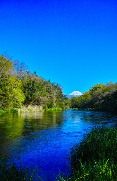 清晨，卡基塔河和富士山