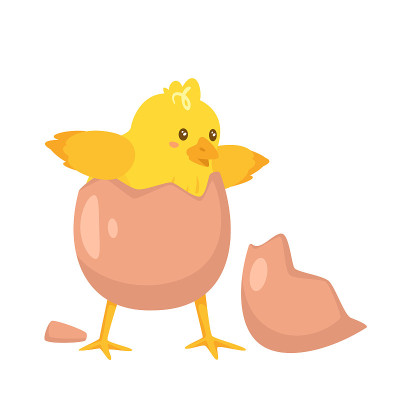 chicken_hatch_stage