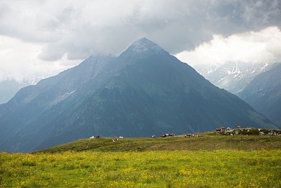 半圆顶岩景观草地在奥地利