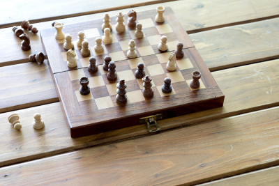 手里拿着小象棋