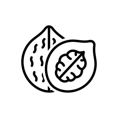 核桃坚果