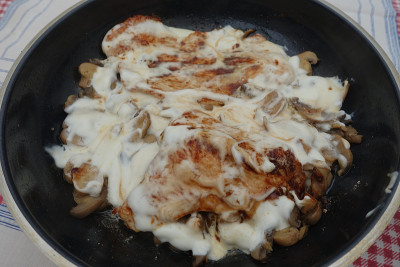 用鲜奶油和香菇烹制的香火鸡肉片